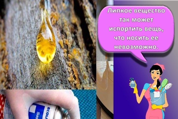 смола на дереве и одежде